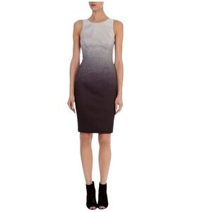 Banana Republic Dress Ombré White Black V zip up back - Size 8